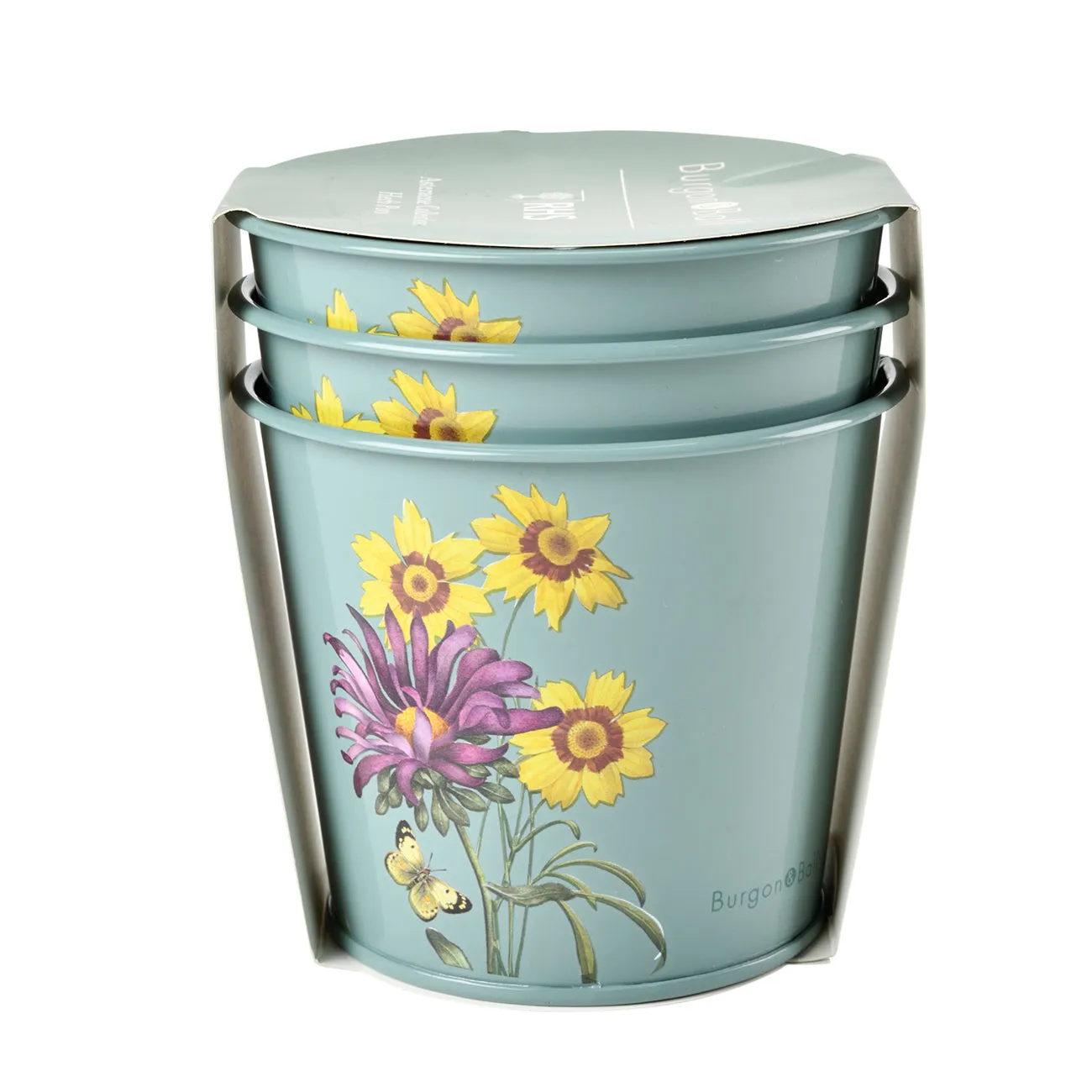 Asteraceae Herb Pots