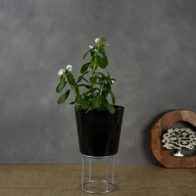 Black Iron Planter With Metal Riser | Modern Decor For Indoor Plants | 9.6"