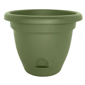Bloem LP1042 Lucca Self-Watering Plastic Planter, Living Green, 10"