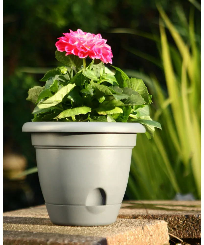 Bloem LP1060 Lucca Self-Watering Plastic Planter, Peppercorn Dark Brown, 10"