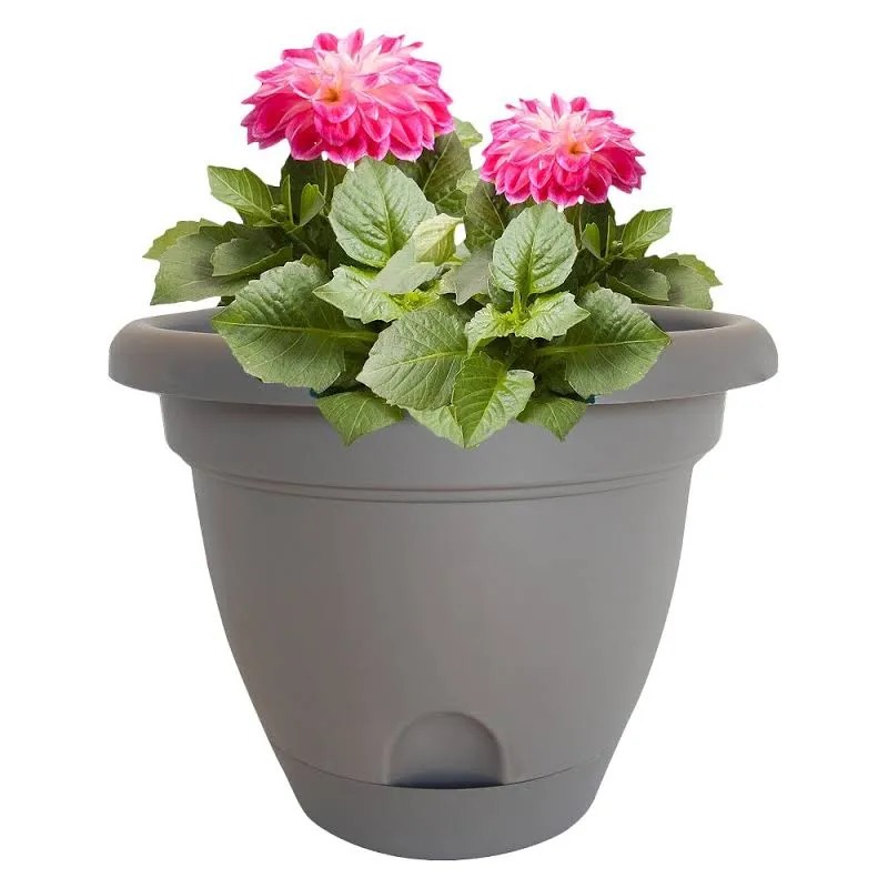 Bloem LP1060 Lucca Self-Watering Plastic Planter, Peppercorn Dark Brown, 10"