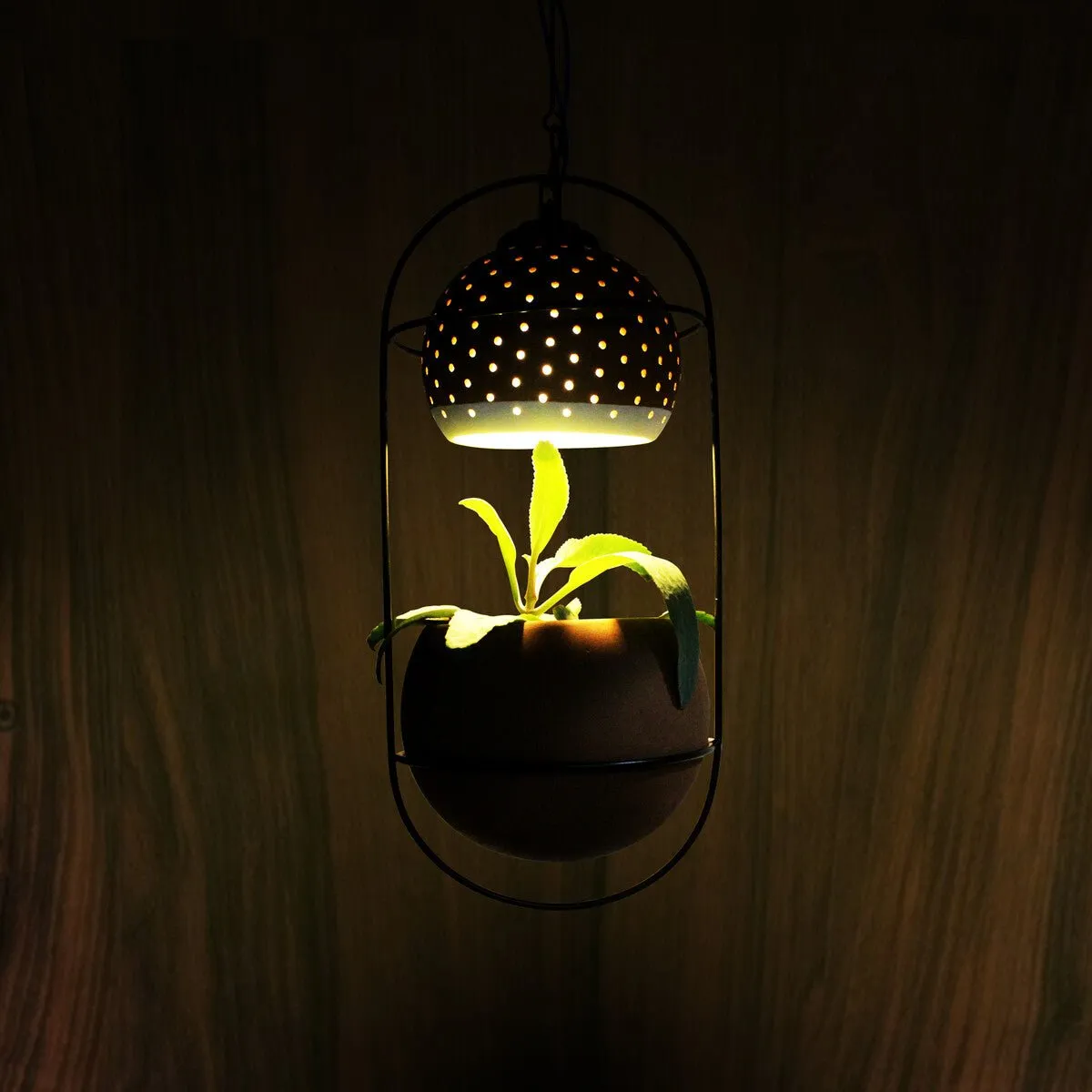 Breathing- Hanging Balcony Planter- Green Light