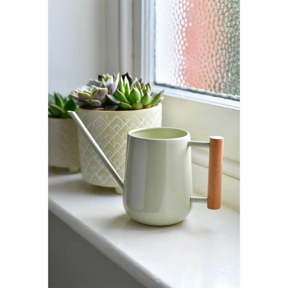Burgon & Ball Indoor Watering Can & Mister Set - Limited Edition
