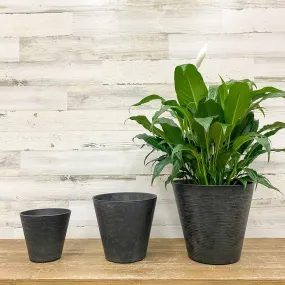 Cali Pot - Black - 10-inch
