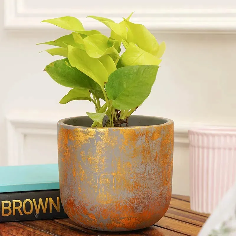 Century Gold Planter | Grey | Plant Not Included