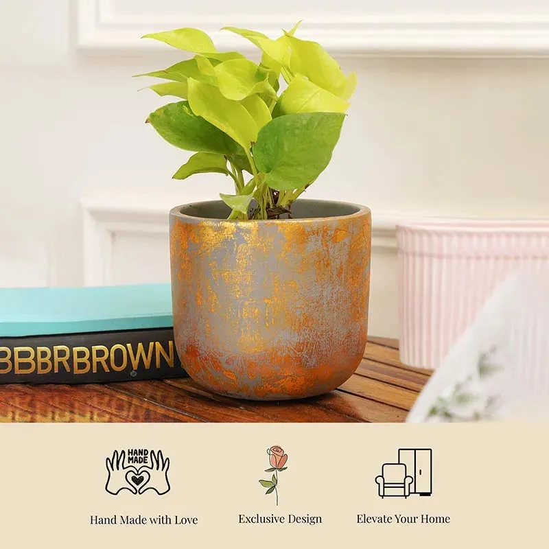 Century Gold Planter | Grey | Plant Not Included