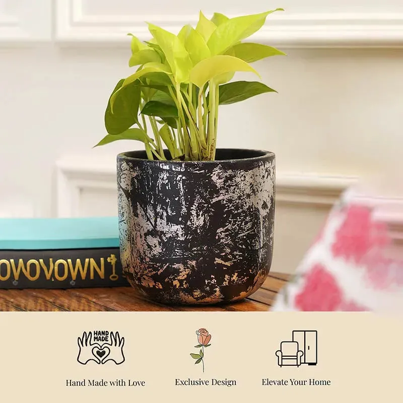 Century Silver Planter | Black  | Plant Not Included
