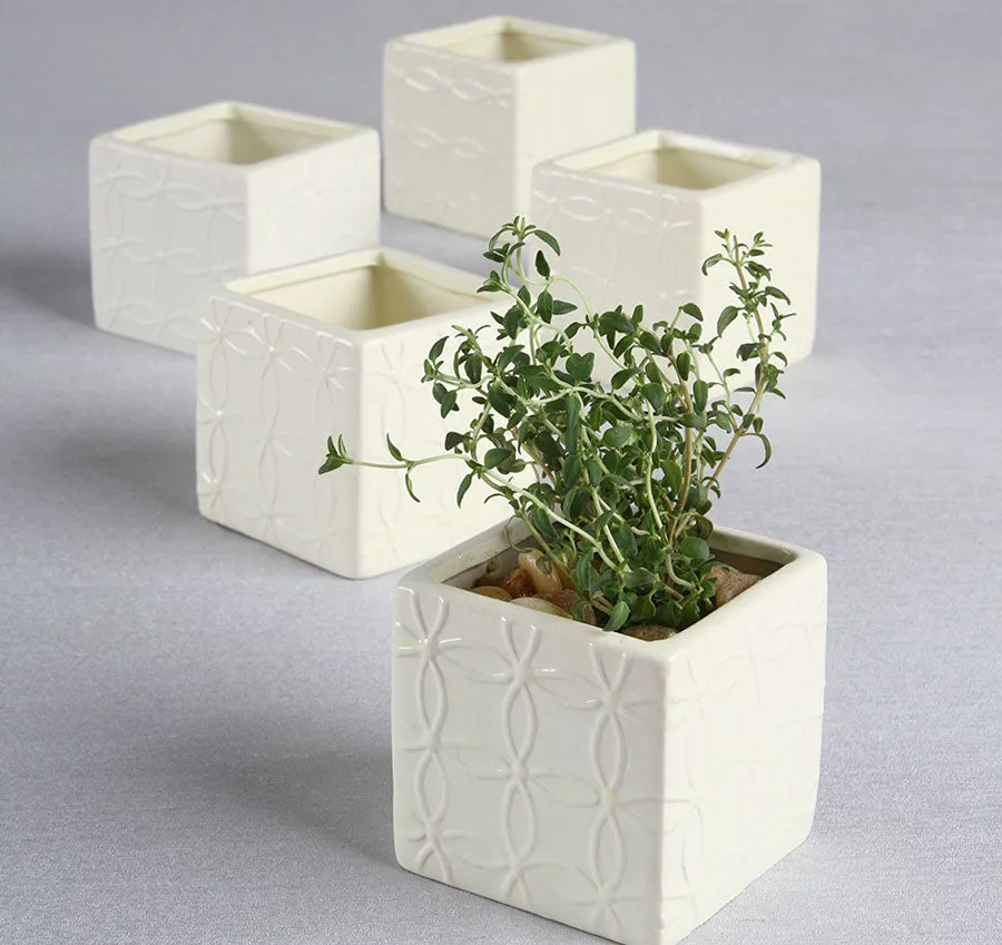 Circle Square Flower Pots
