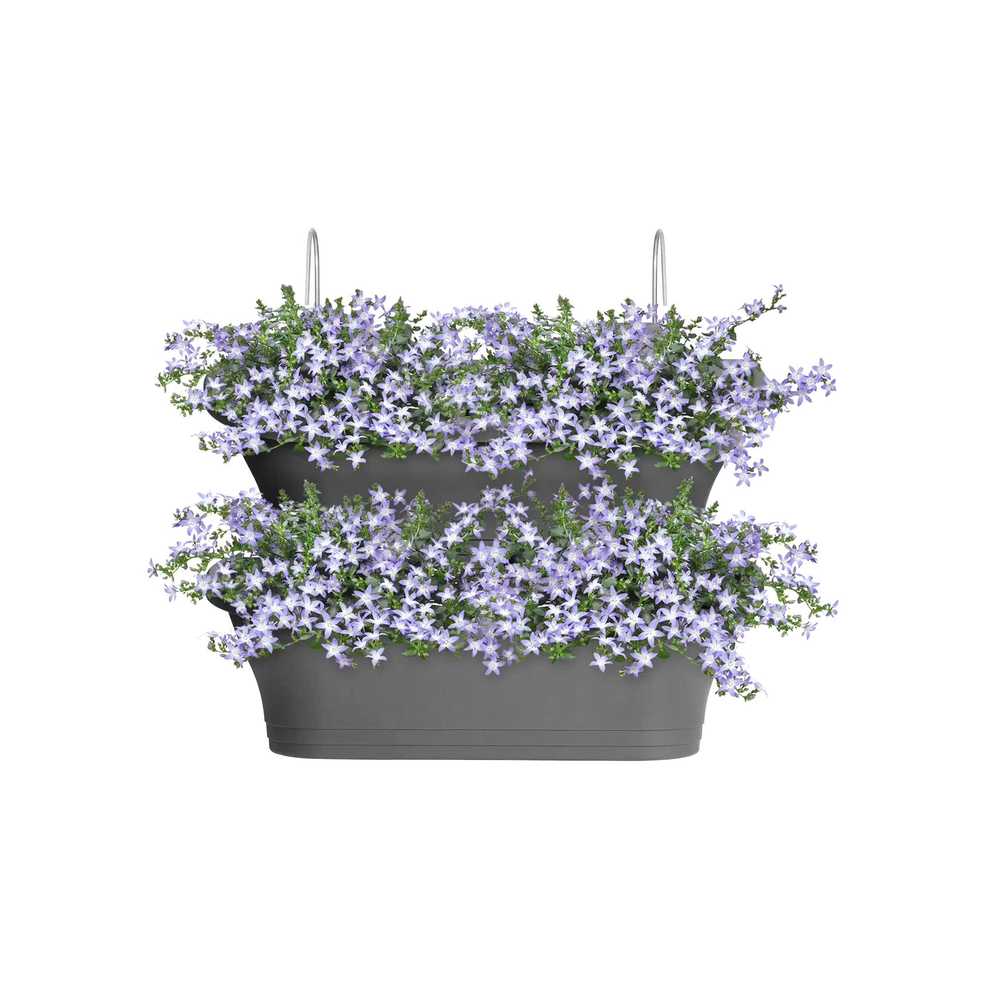 Corsica Vert Forest Large Set 2 (Anthracite)