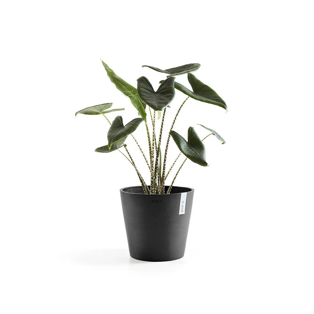 EcoPots Amsterdam Decorative Pot 30cm | 12" Dark Grey