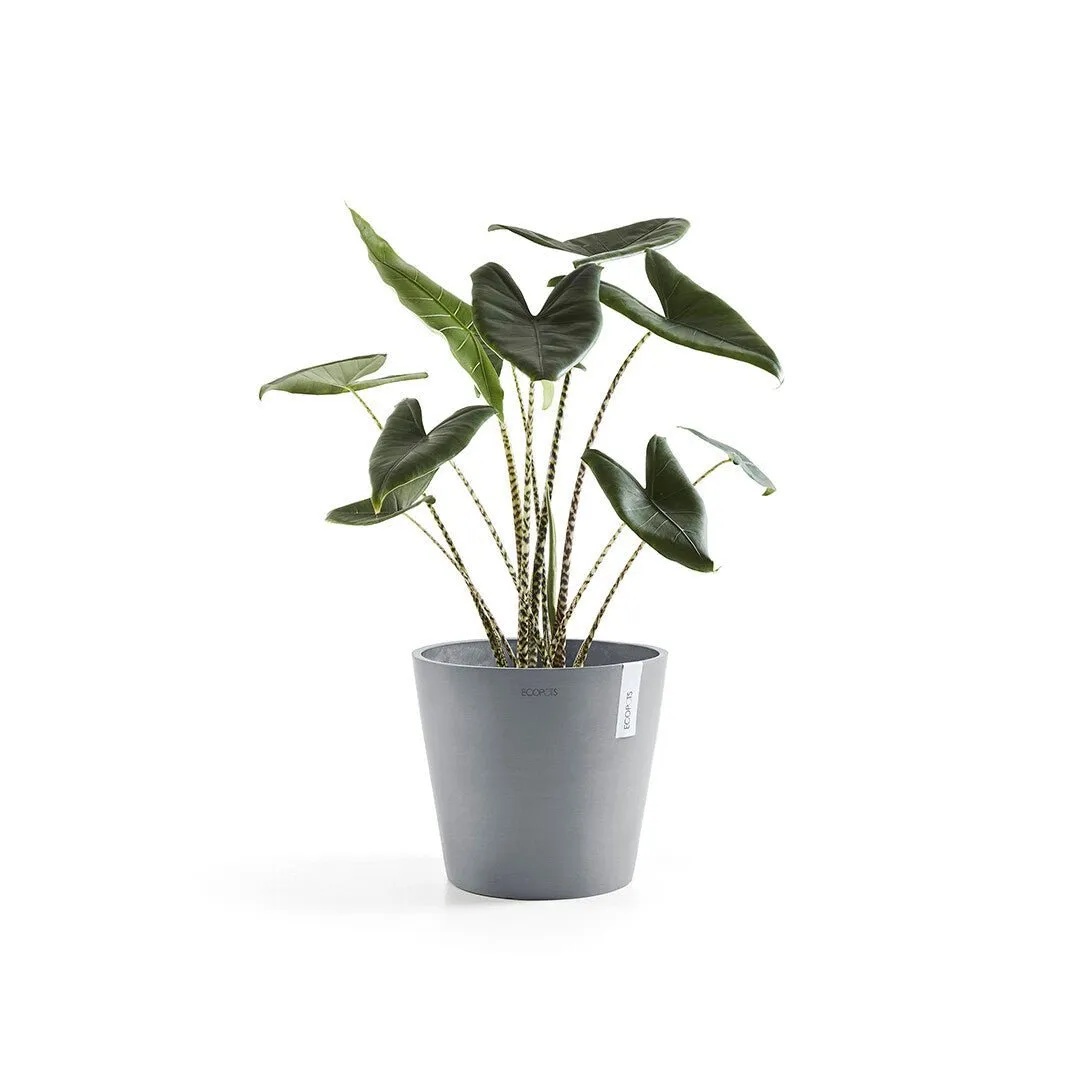 EcoPots Amsterdam Decorative Pot 30cm | 12" Grey