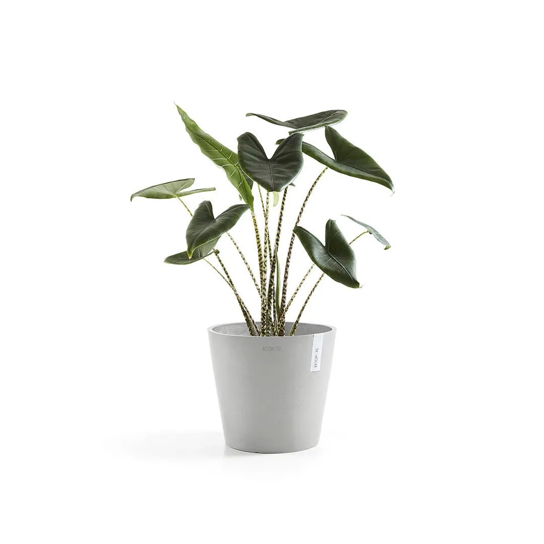 EcoPots Amsterdam Decorative Pot 30cm | 12" White Grey