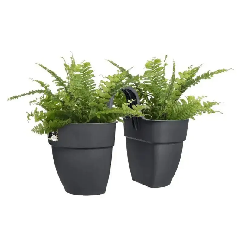 Elho Vibia Campana Flower Twin 21cm - Assorted Colours