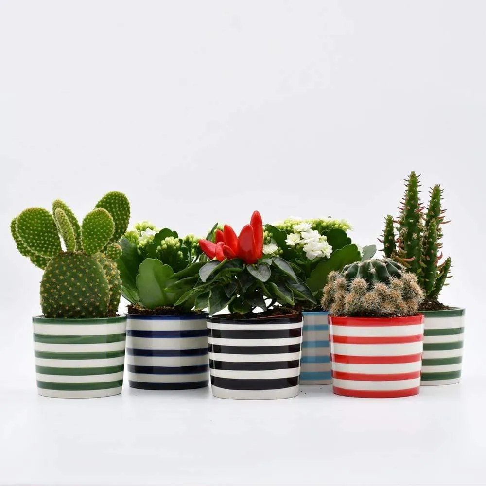 Ensemble de 3 pots "Costa nova" - Noir