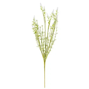 field flower white | branch