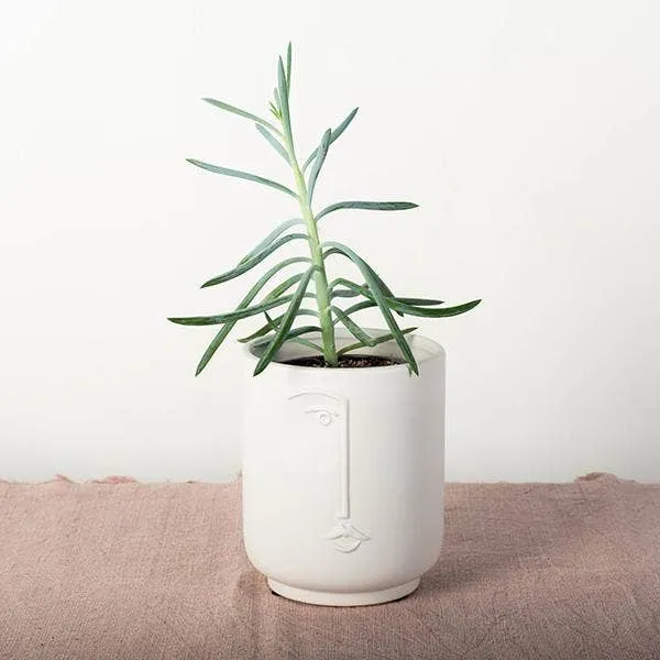 Flower Pot With A Face
