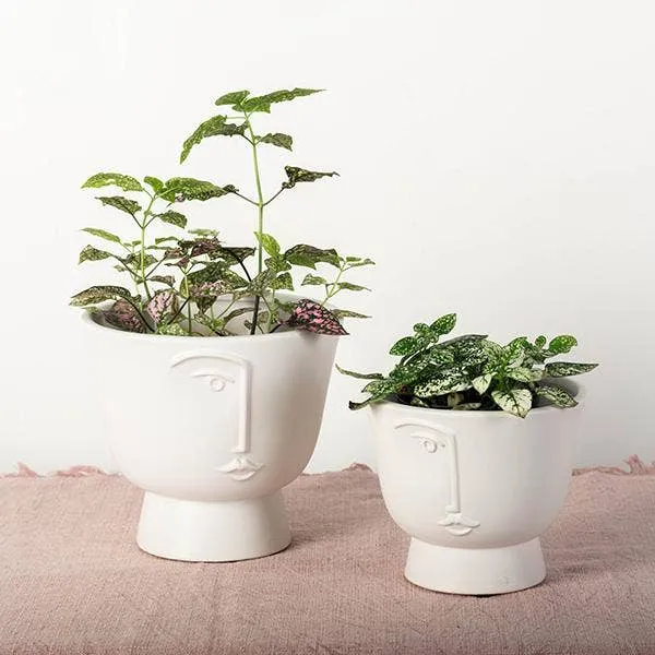 Flower Pot With A Face