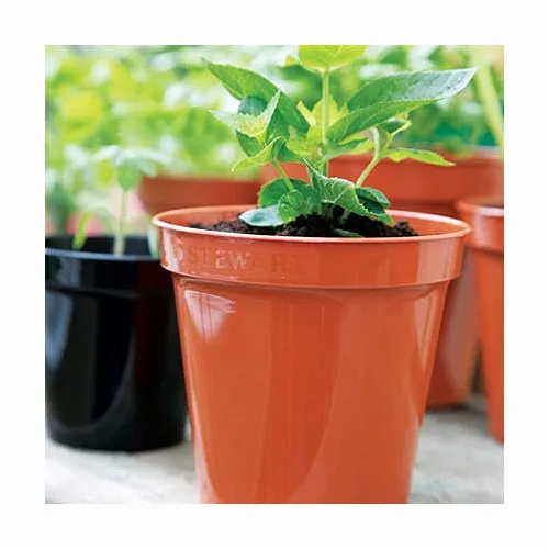 Flower Pots