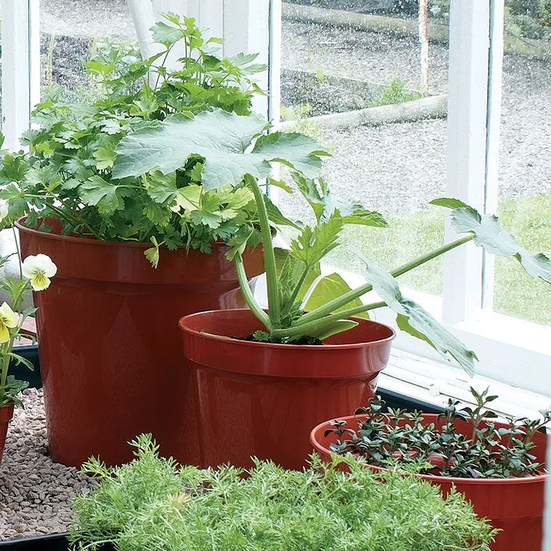 Flower Pots