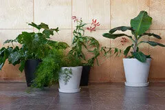 Flowerpot With Saucer | Medium | Grey | by HAY