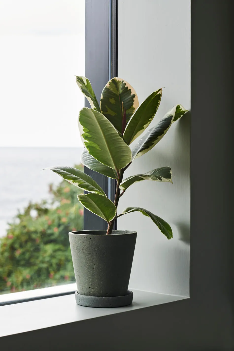 Flowerpot With Saucer | Medium | Grey | by HAY