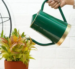 Gold Dust Plant Watering Can, Garden Watering Can, Garden Accessories (Green (1.5 Lt))