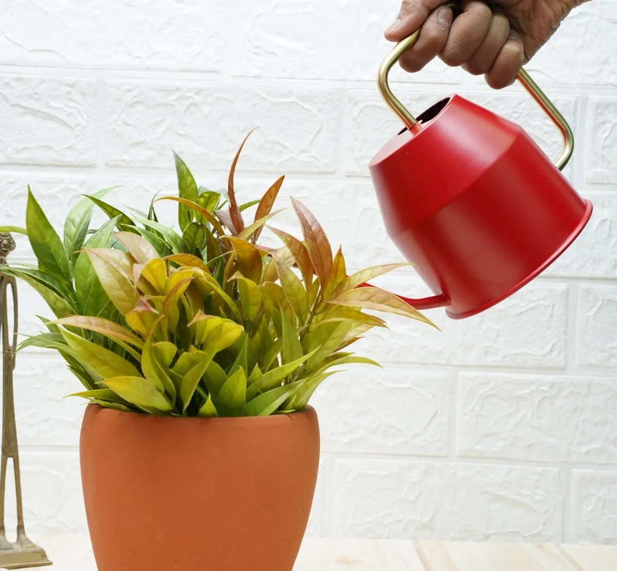 Gold Dust Watering Can For Plants, Garden Tools, Plant Watering Can (Red (0.9 Lt))