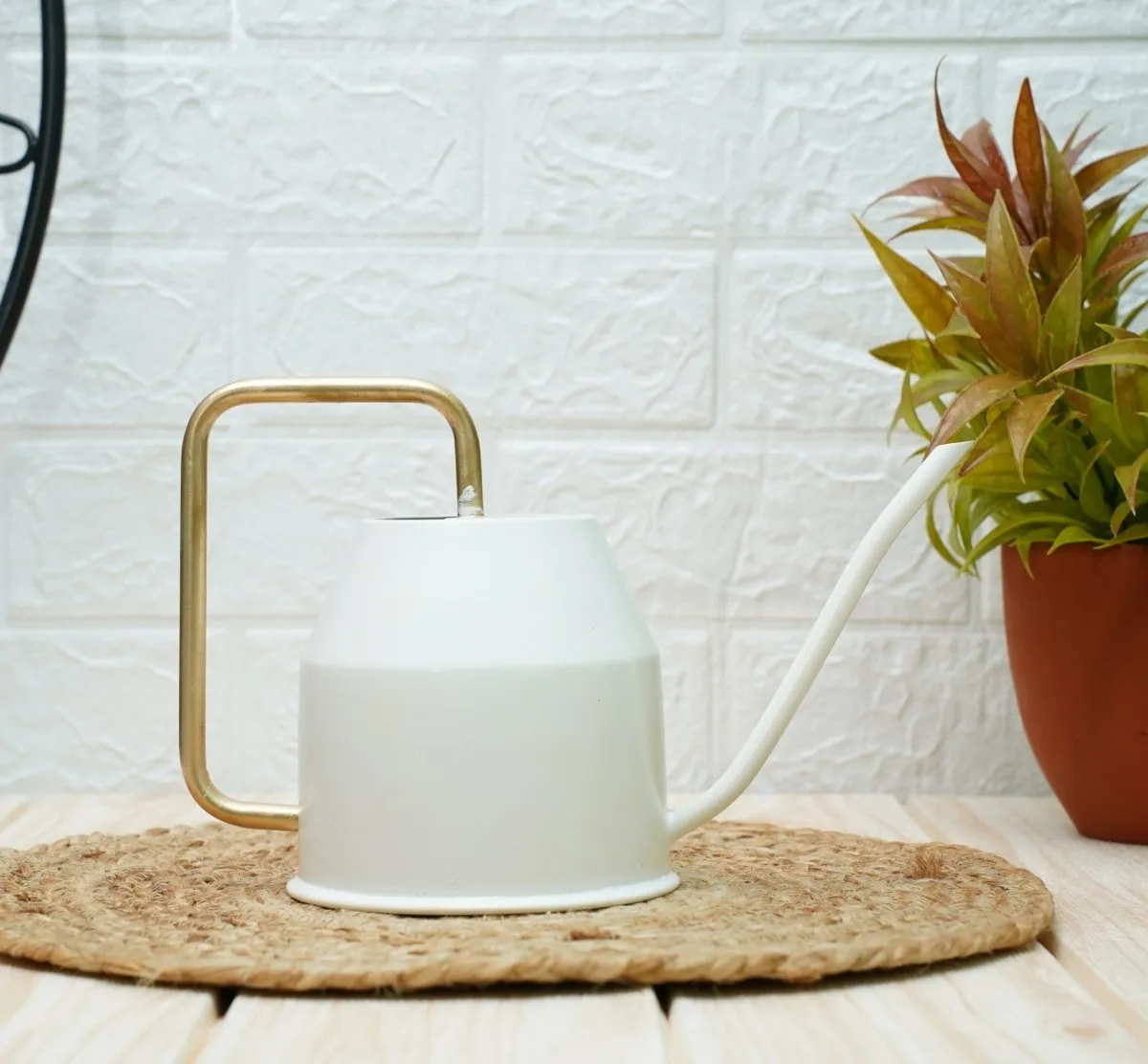 Gold Dust Watering Can For Plants, Garden Tools, Plant Watering Can (White (0.9 Lt))