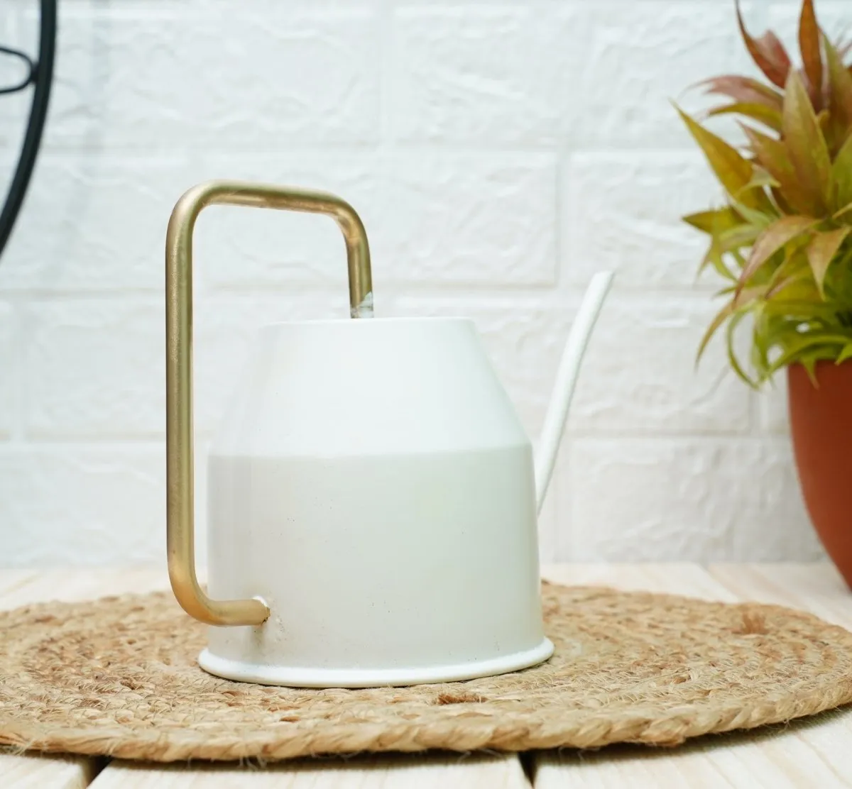 Gold Dust Watering Can For Plants, Garden Tools, Plant Watering Can (White (0.9 Lt))