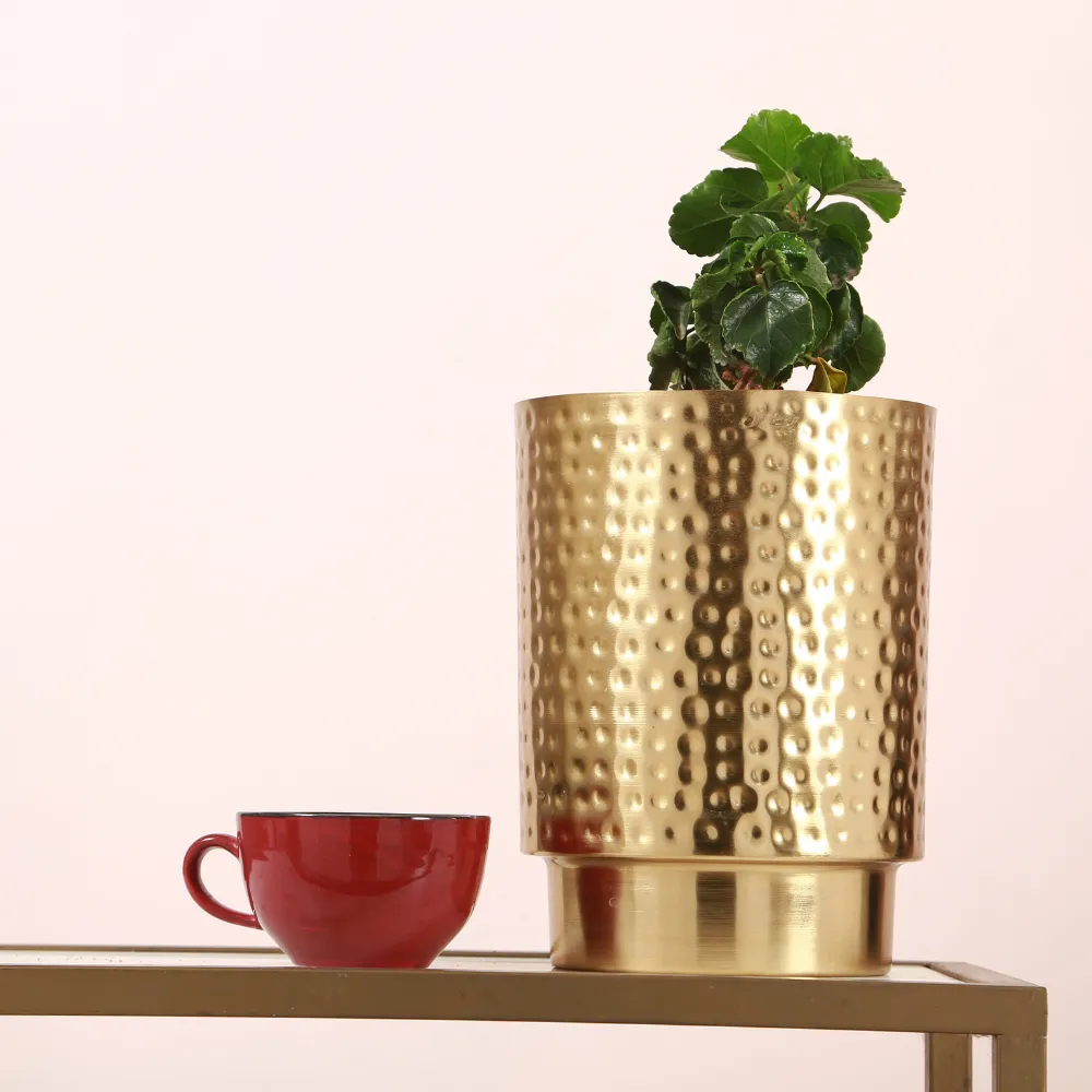 Gold Finish Table Pot | Hammered Pattern | Planters for Indoor Plants | 10 Inches