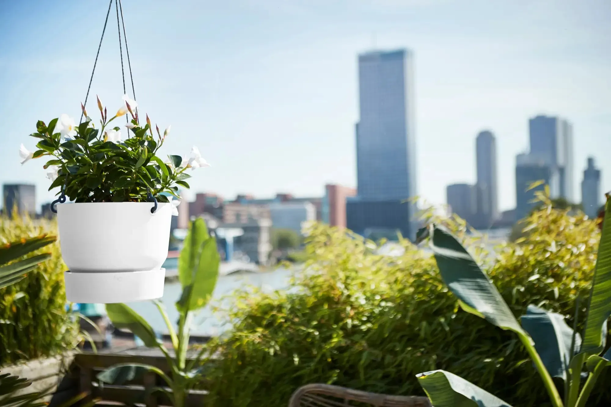 Greenville Hanging Basket 24Cm (White)