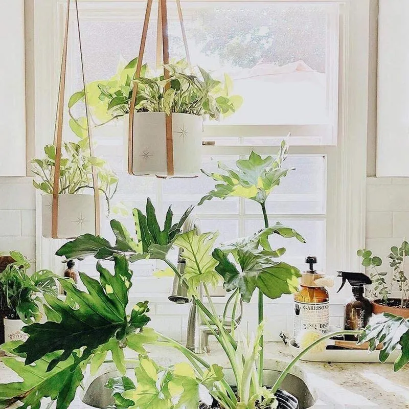 Handmade Macrame Plant, Flower Pot Hanger