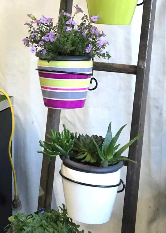 HangApot Brackets Pot Brackets   3 Pack Buy  -  Create a garden anywhere!