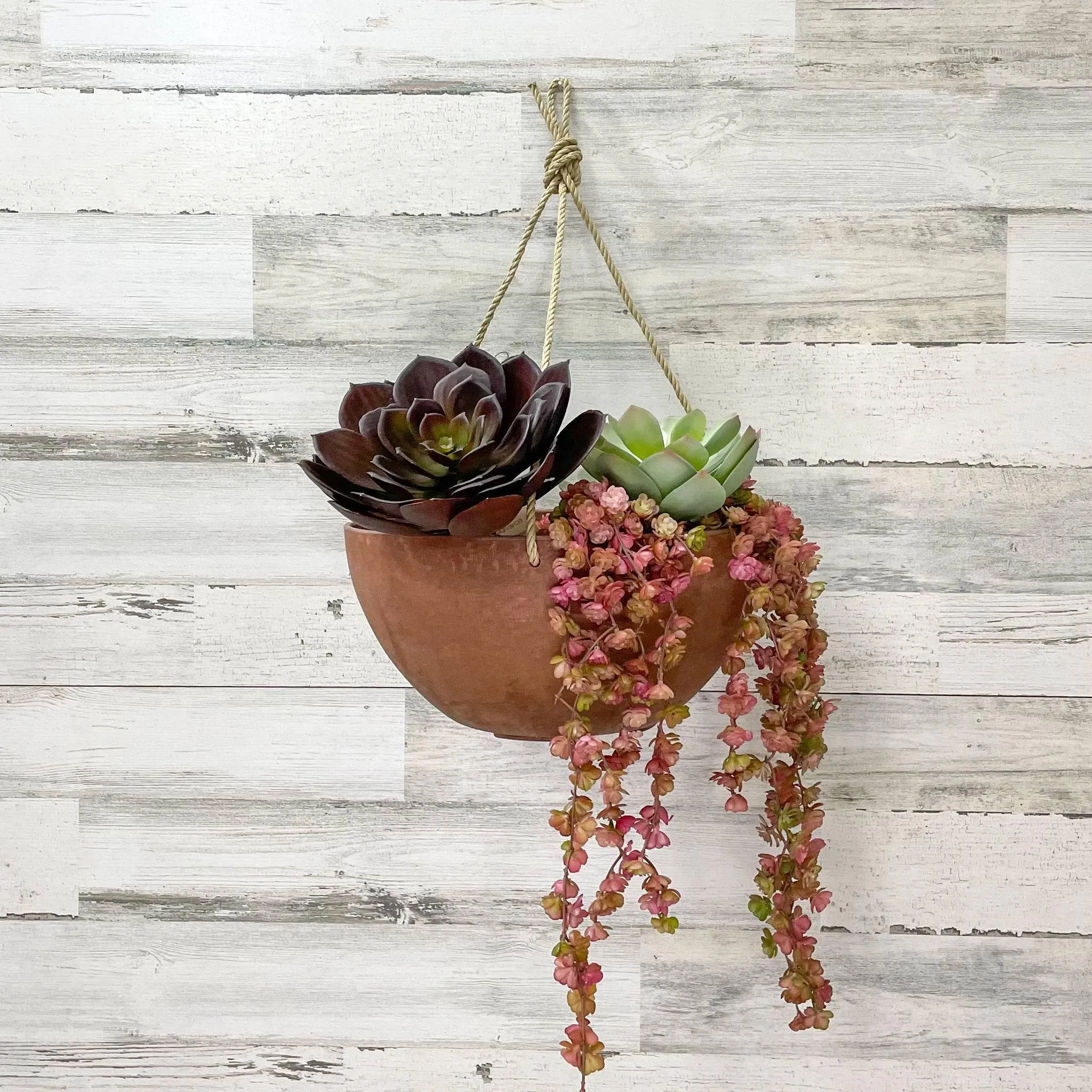 Hanging Bowl Planter - Rust - 12-inches