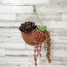 Hanging Bowl Planter - Rust - 12-inches
