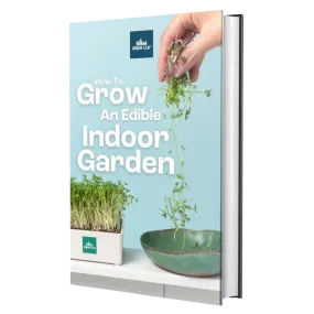 How To Grow An Edible Indoor Garden (Digital Download)