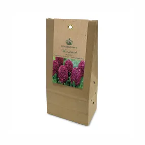 Hyacinth ‘Woodstock’ Bulbs (Pack of 5)