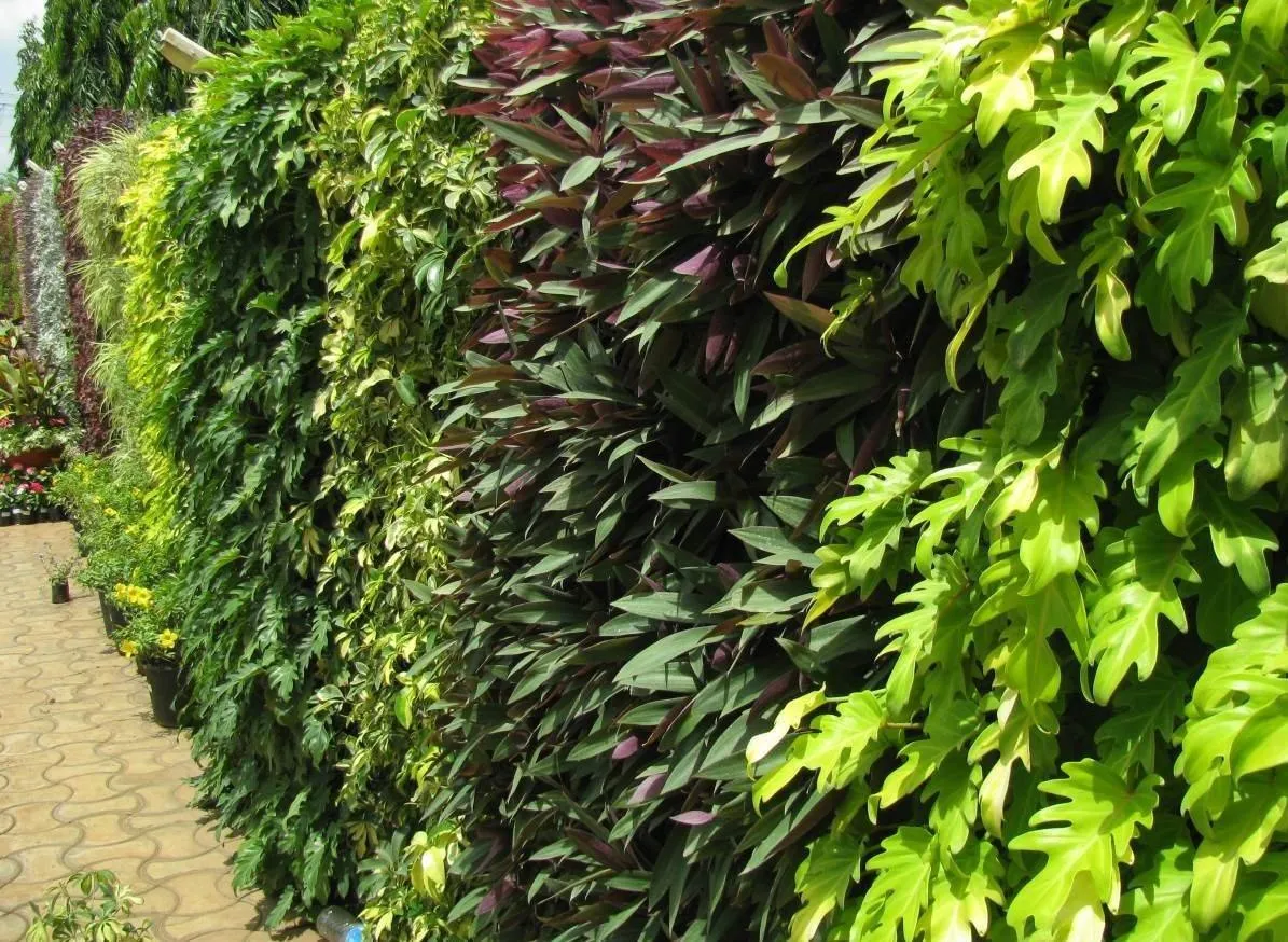 Indoor & Outdoor Vertical Garden Planters Bio wall Hanging (5 Frames   15 Pots ) with Self Drill Screws