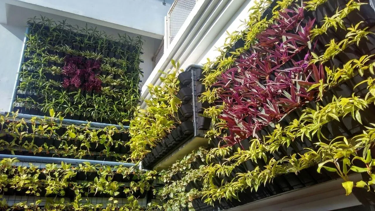 Indoor & Outdoor Vertical Garden Planters Bio wall Hanging (5 Frames   15 Pots ) with Self Drill Screws