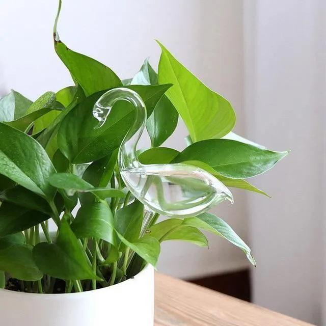 Indoor Plant Watering devise