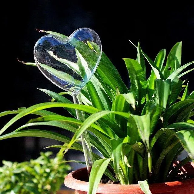 Indoor Plant Watering devise