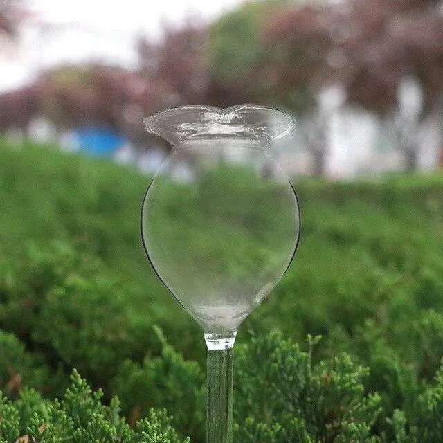 Indoor Plant Watering devise