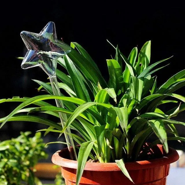 Indoor Plant Watering devise