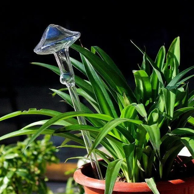 Indoor Plant Watering devise