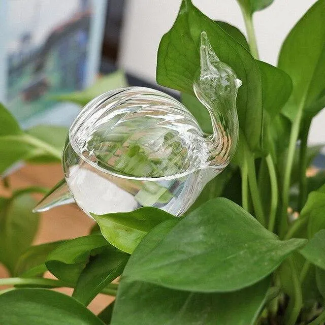 Indoor Plant Watering devise