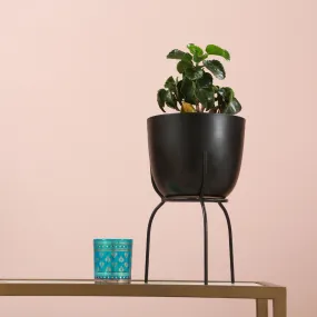 Indoor Planter With Detachable Stand | Black Iron | Living Room decor | 12"