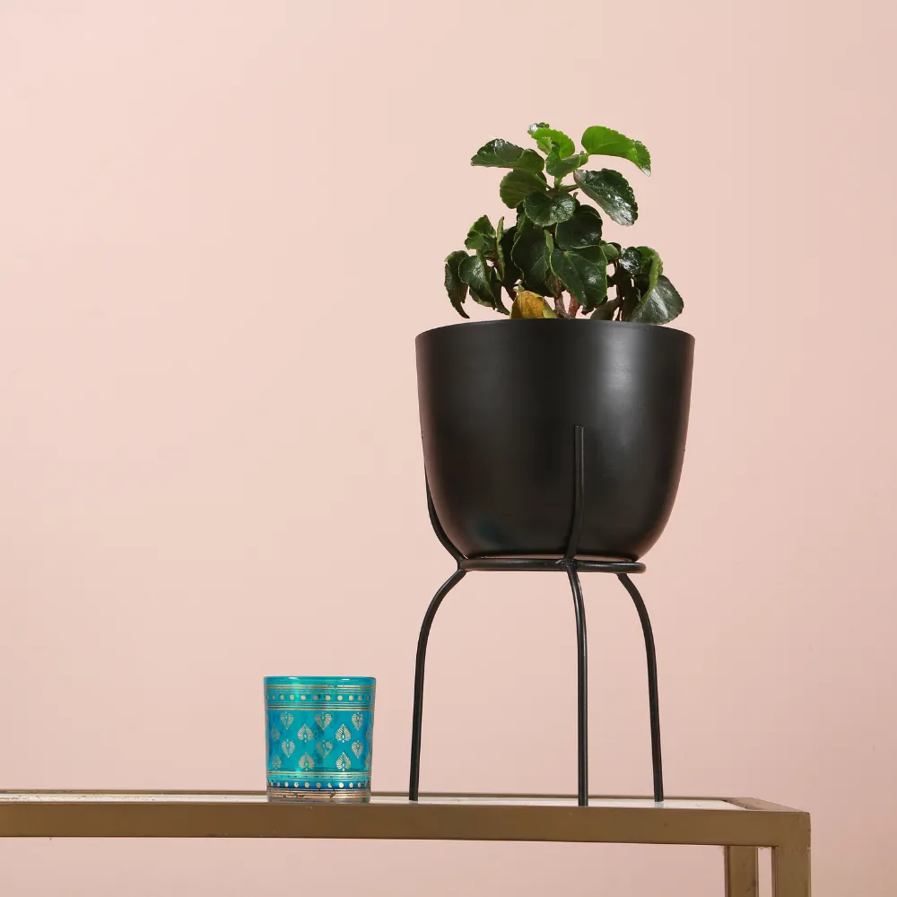 Indoor Planter With Detachable Stand | Black Iron | Living Room decor | 12"