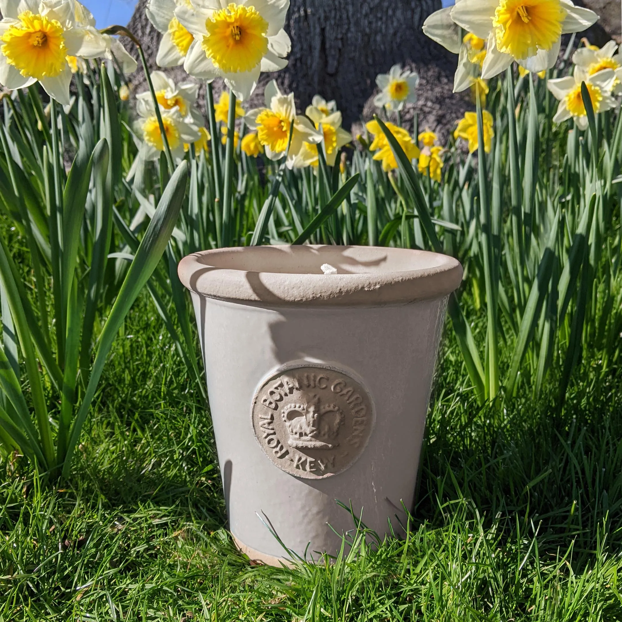 Kew Pot Outdoor Scented Candle - Medium