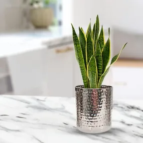 Kuber Industries Stainless Steel 3.1L Planters for Living Room, Office & Home Decor | Rust Resistant Flower Pots for Home Decoration | Gardening Pots for Indoor & Outdoor | Silver