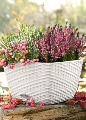 Lechuza Bacino Cottage White Self- Watering Planter